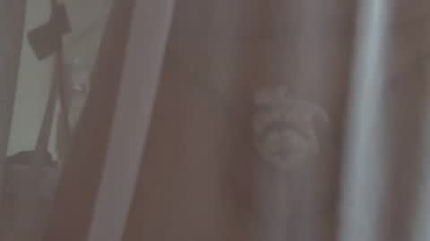 jogidan stream preview