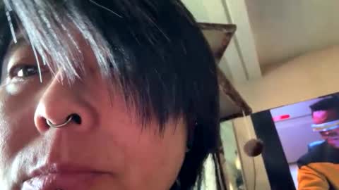 kalicopip live stream