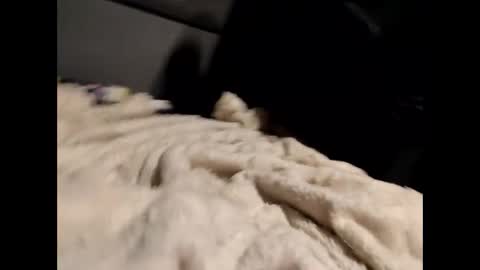 kapatajs34 live stream