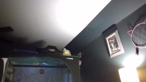 katerrific333 live stream