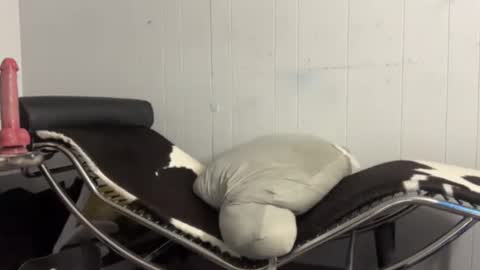 katrinakorona stream preview