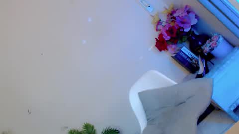 kissmebetter stream preview