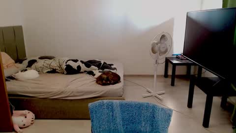 kitten_jenny01 stream preview