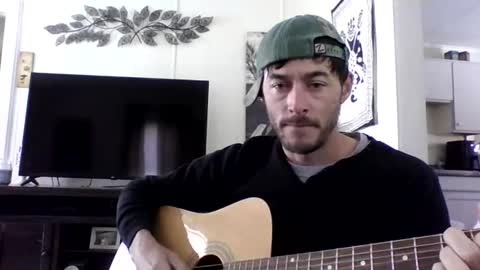 kittki stream preview