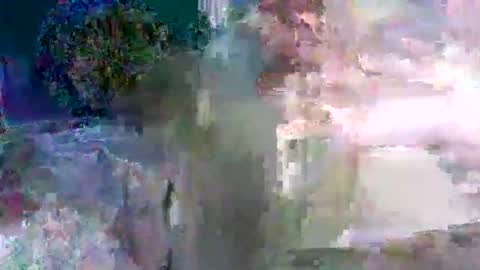 kitty18842 stream preview