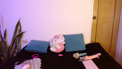 kittycatw stream preview