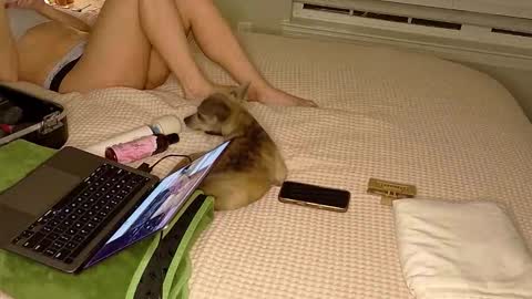 knowingdom live stream