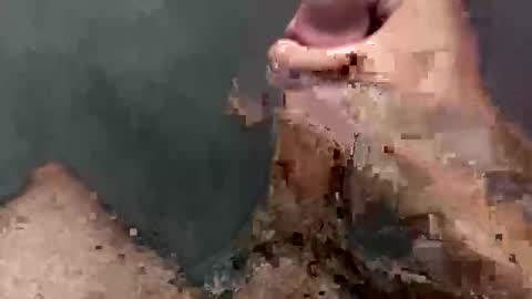 kwpspsvqj live stream