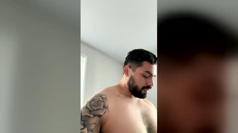 labrador16 live stream