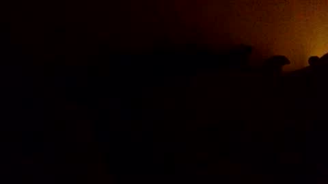 lapoutre76189 live stream