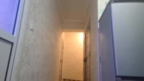 larainebertinetti stream preview