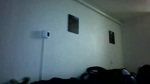 lashawndafreebird stream preview