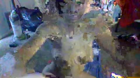 laylababy25 stream preview