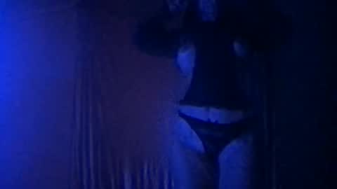 laylapasini live stream