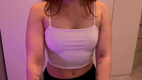 lego_duplo stream preview