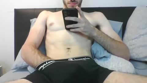 lemonspark9812 stream preview
