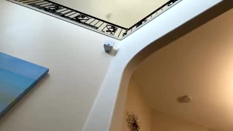 letseethem1 live stream