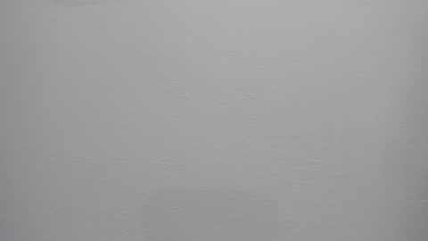 lexa_cutie stream preview