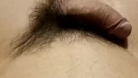 likeydicks stream preview