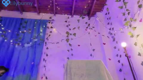 lily_bunny_1 stream preview