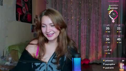 lisacase stream preview