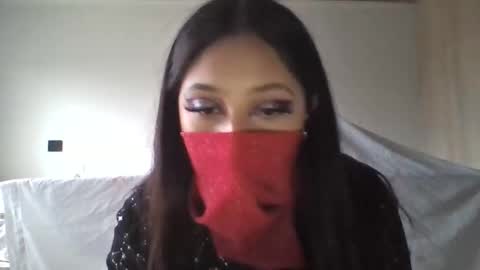 little_kiten live stream