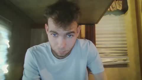 livetyy stream preview