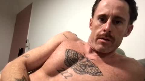 locfox stream preview