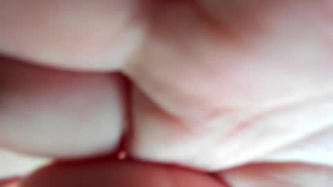 lolaredhonny stream preview