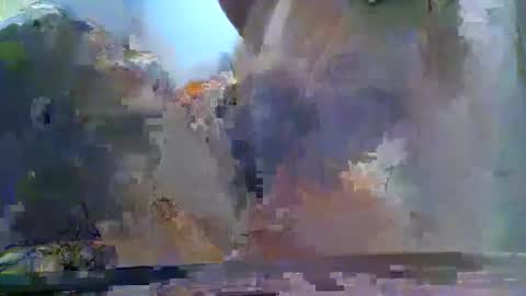 lolasienna live stream