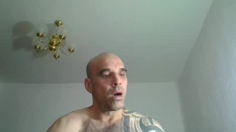 lolotatto stream preview