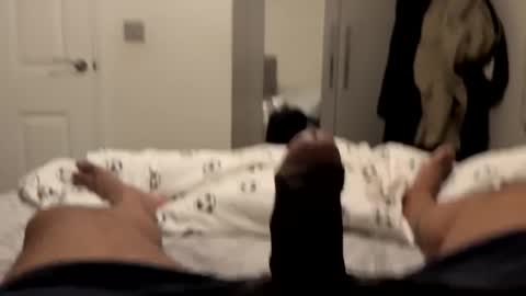 lookingforw007 stream preview