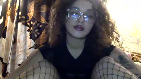 lotusflwr1 stream preview