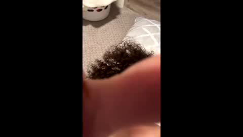 lululady_32 stream preview