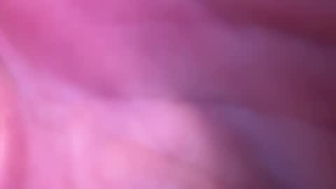 lyly6969 live stream