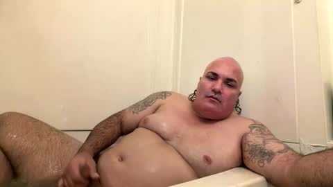 machuelbibliotecario live stream