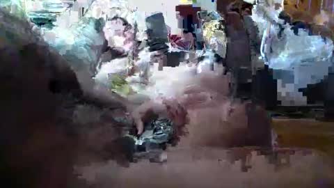 maestr069 stream preview