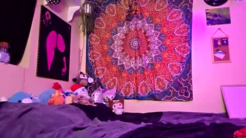 maevedotexe live stream