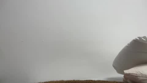 maikel61 live stream