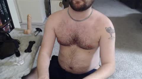 majorthepup live stream