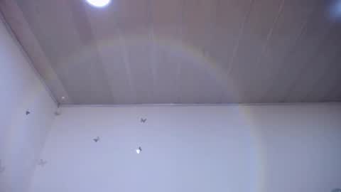 marie_daved stream preview