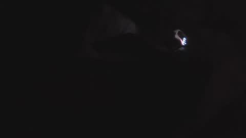 martamoontrans stream preview