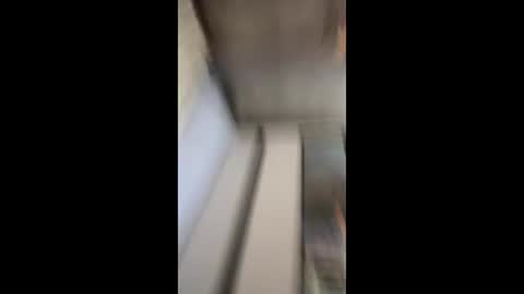 maryyjjane live stream