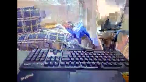 meimei_888 stream preview