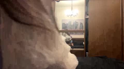 melissalionetti stream preview