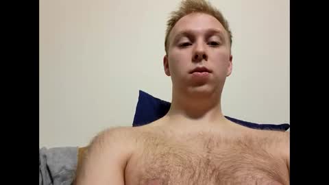 meow732 stream preview