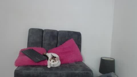 mia_foox29 stream preview