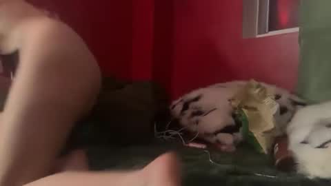 miaranieri65 live stream