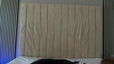 mike_parkerr live stream