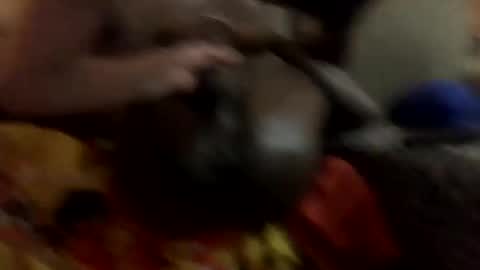 milkme6969_ stream preview